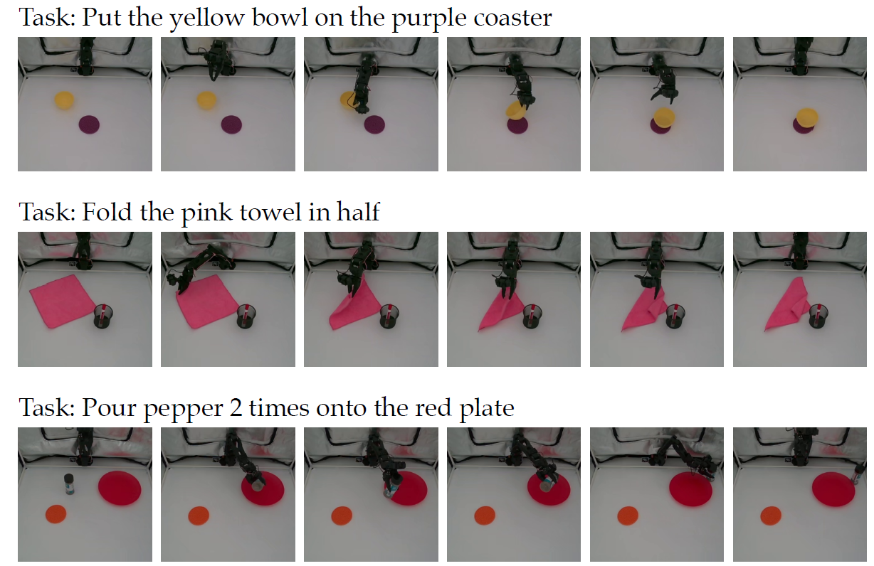 Examples of expert demonstrations