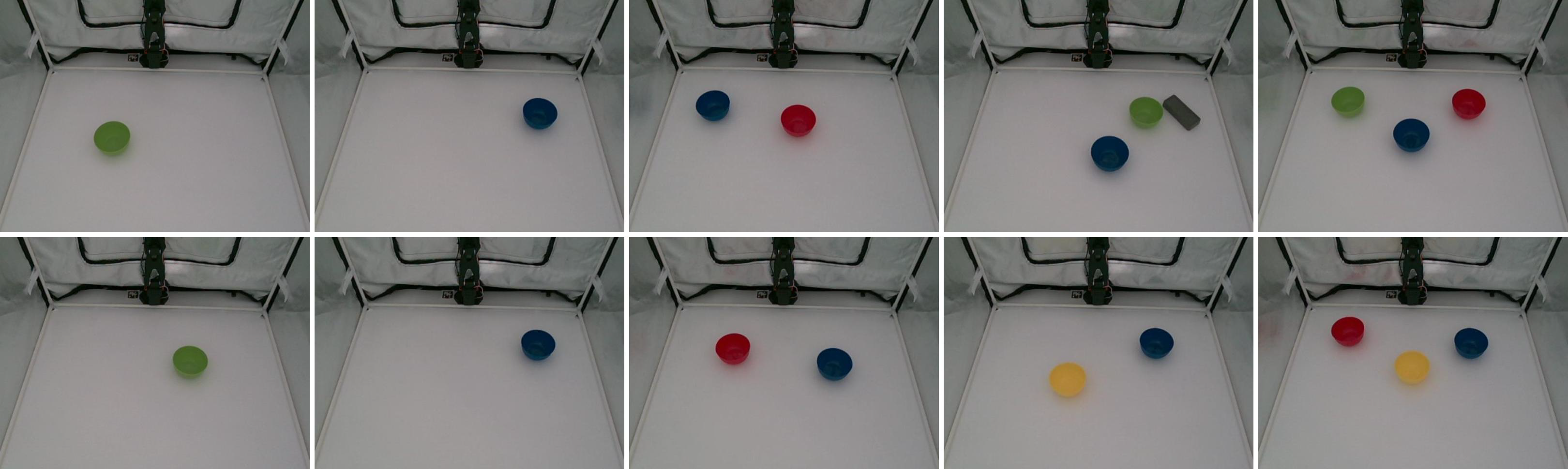Reference scenes for Lift bowl